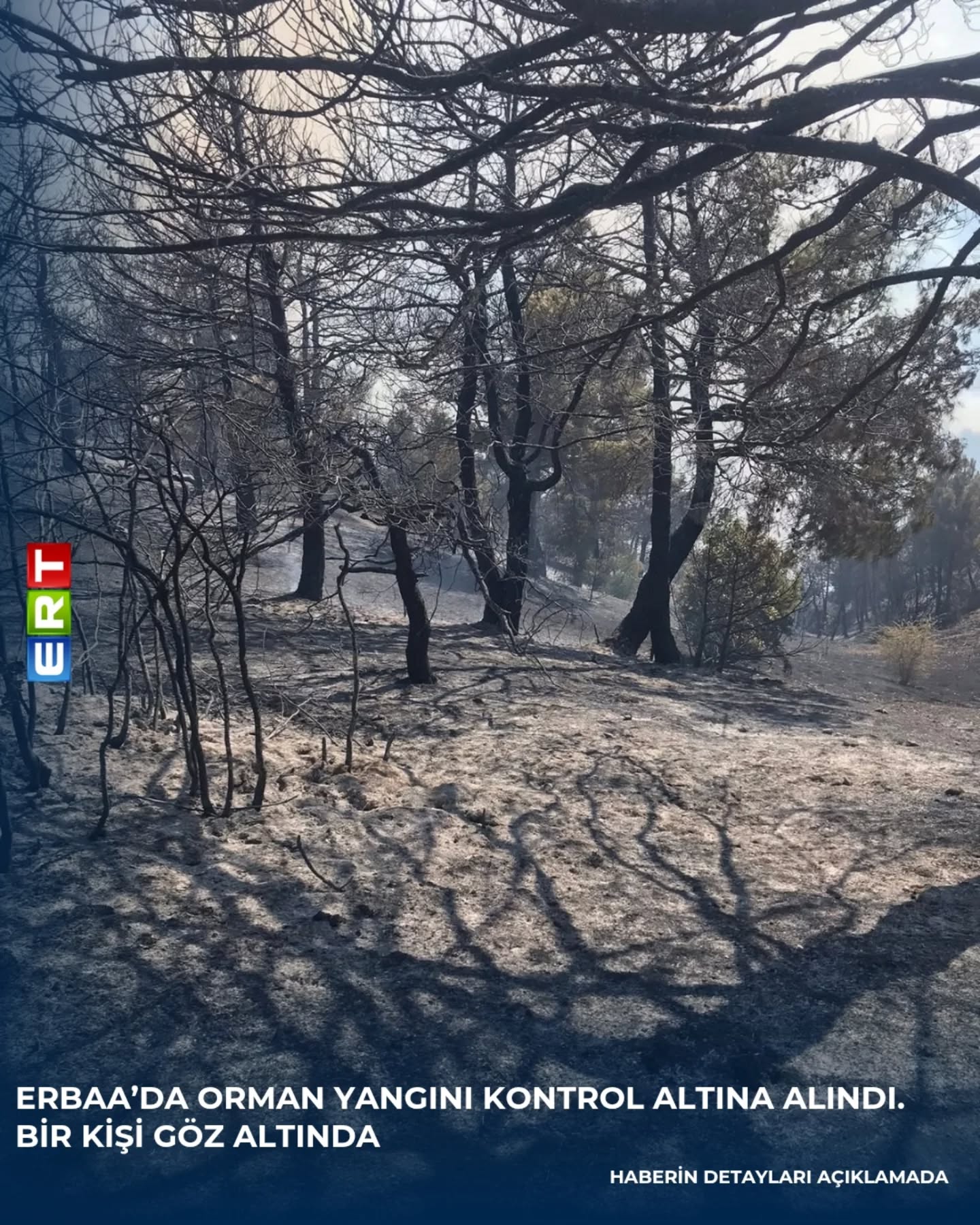 Erbaa'da Orman Yangını Kontrol Altına Alındı ! Bir Şüpheli Gözaltında